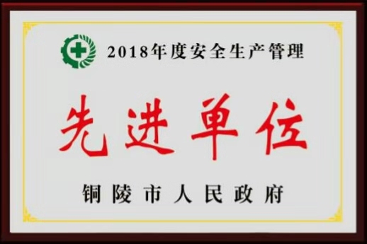 2018年度“銅陵市安全生產(chǎn)管理先進單位”