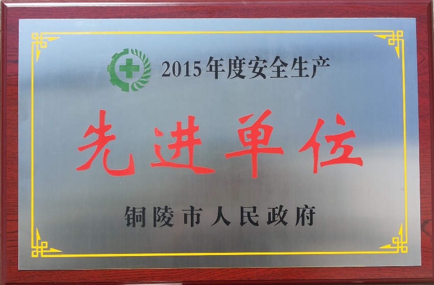 2015年度銅陵市“安全生產(chǎn)先進(jìn)單位”